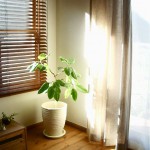 生成りのリネン(天童市K様邸)