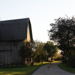 お客様からの声