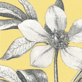 エッチング & ローズ　204