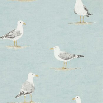 Shore Birds　216564