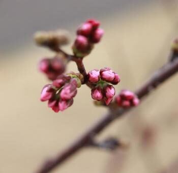 今更ながらですが….
