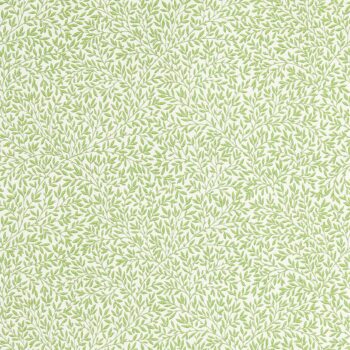 モリス壁紙　Standen / スタンデン　217066