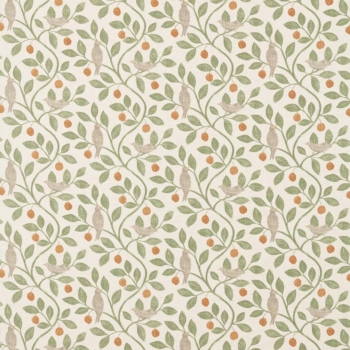 Damson Tree　226362