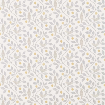 Damson Tree　226363