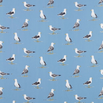 Shore Birds　226492