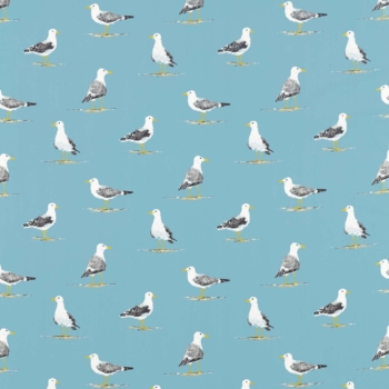 Shore Birds　226493