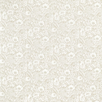 Meadow Fields　237196