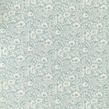 Meadow Fields　237197