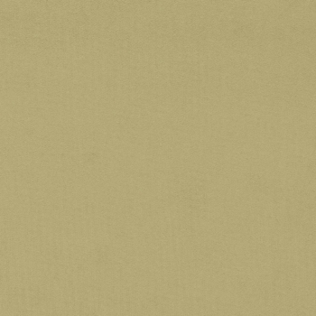 モリス生地　Wardle Velvet / ウォーダルベルベット 　237301