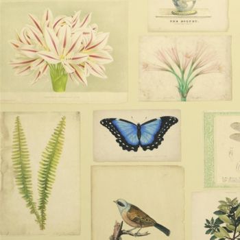 DESIGNERS GUILD　PJD6001/01