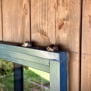 本年もどうぞよろしく!