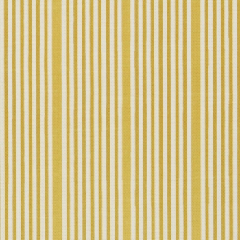 生地　Park Stripe　08812305A