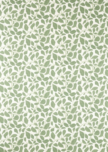 Sweet Bay　121314 の商品画像