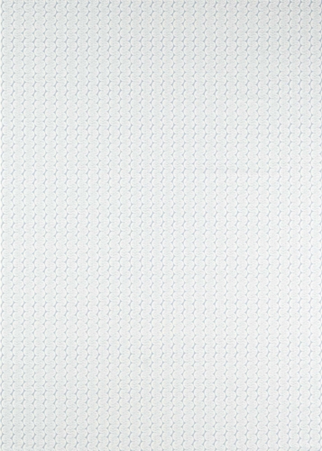 Raft Stripe　121324 の商品画像