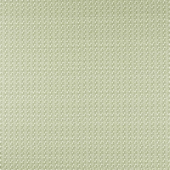 Raft Stripe　121326