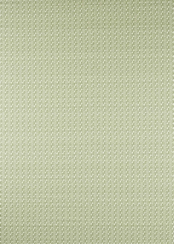 Raft Stripe　121326 の商品画像