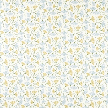 Fringed Poppy　121335