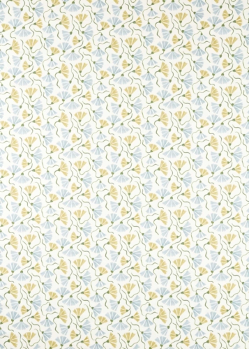 Fringed Poppy　121335 の商品画像