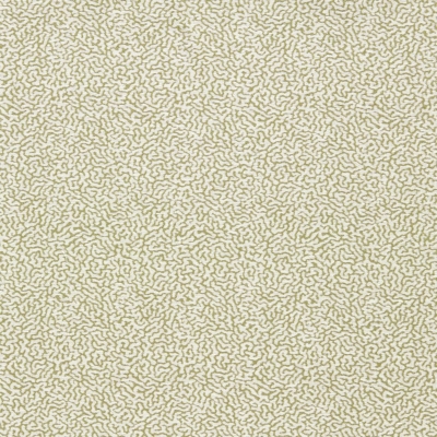 Duckweed　134626 の商品画像