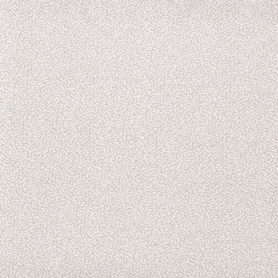 Duckweed　134627 の商品画像